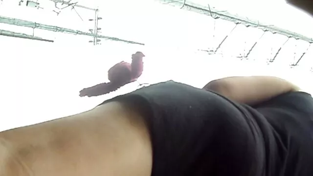 Parim porno :  Väike blond läheb alla seda suurt nokki imema ja alla neelama Täiskasvanute Filmid 